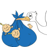 Storch mit Babys